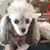 Mary Louise Liggett's profile image