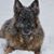 Christi Siats's profile image