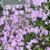 Debbie Orban Kelly's profile image