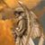 Mary Calvery Page's profile image