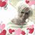 Mary McNeff's profile image