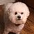 Diane Marie Lalum's profile image