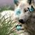 Allison Brunetta Jones's profile image