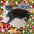 Jennifer Sieck's profile image