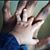 Keith Bratcher's profile image