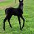 Danielle Hendrick's profile image