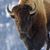 Lori Clark Bagley's profile image