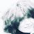 Stella Alexander's profile image