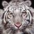 Cyndi Cooley's profile image