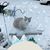 Patricia Patty Pfaff's profile image