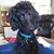 Karen Rygh Traylor's profile image