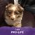 Terri Kosarek Stevens's profile image