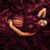Maribel Mares's profile image