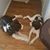 Gina Butler's profile image