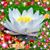 Marsha Wilkinson Bette's profile image