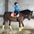 Colleen Horath's profile image
