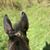Linda Woodford's profile image