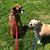 Angela Perry Cardell's profile image