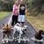 Shauna Renee Griffith's profile image