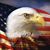 Paul Johnson's profile image