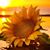 Beverly Christopher's profile image