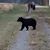 Heather Dawn Ellrod's profile image