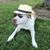 Edwin Vasquez's profile image