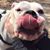Brian Hummel's profile image