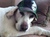 Jacqui R.'s profile image