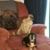 Joyce Maddrix's profile image