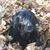 Bob Runco's profile image