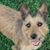 Donna Kay McIntyre's profile image