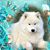 Karen Rochat's profile image