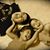 Rhyan Blayke Hernandez's profile image