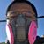 Aberham Ramirez's profile image