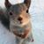 Cynthia Daggett's profile image