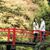 Kubota Gee's profile image