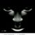 Randy Welch's profile image