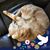 Julie Ovens Jewell's profile image