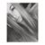 Mika Eden's profile image