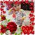 Gail Calouro's profile image