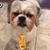 Glenn Tuazon's profile image