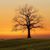 Kimberly Barribo Woodbury's profile image