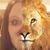 Carolyn Laurienti's profile image