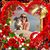 Gail Russo-Stamler's profile image