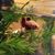 Melissa Sawyer Nantz's profile image