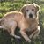 Christy Mace-Phillips's profile image