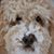 Julia A. Mullins's profile image