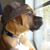 Danny Fennell's profile image