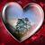Donna Charbonneau's profile image